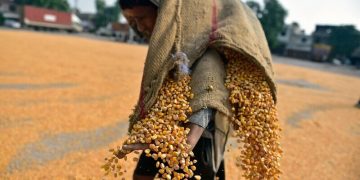 India exporters say 50pc Trump levy ‘severe setback’