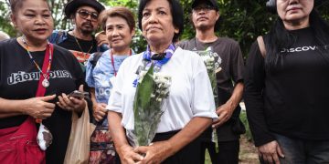 Thai woman jailed for 43 years for lese-majeste freed