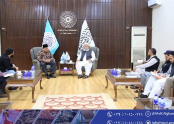 Afghanistan, Indonesia Strengthen Trade Ties