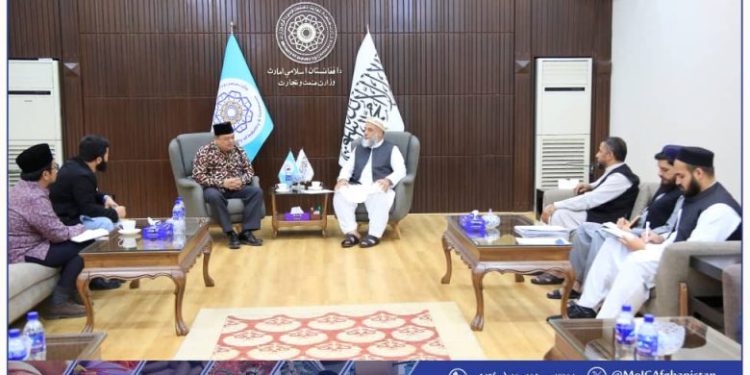 Afghanistan, Indonesia Strengthen Trade Ties