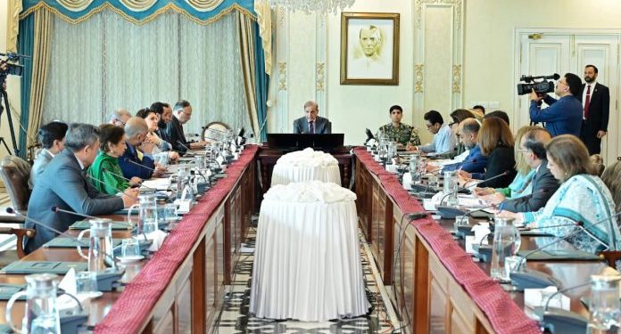 PM Shehbaz calls for national policy to address Pakistan’s rapid population growth