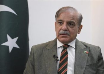 PM demands return of Pakistani citizens participating in Sumud Gaza Flotilla