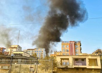 Ceasefire halts deadly Afghanistan-Pakistan fighting