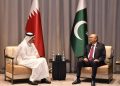 President Zardari offers expansion of defence collaboration to Qatari emir