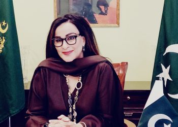 ‘Weaponisation of water neither sane nor acceptable,’ Sherry says after India approves hydel project on Chenab