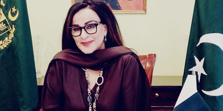 ‘Weaponisation of water neither sane nor acceptable,’ Sherry says after India approves hydel project on Chenab