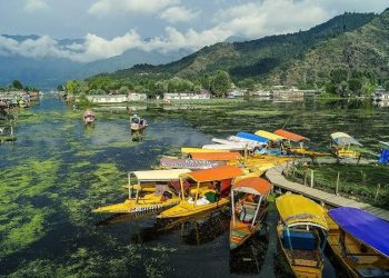 The Silencing of Kashmiri Cultural Identity: Language, Music and Memory Under Occupation