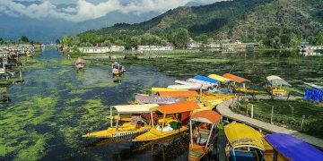 The Silencing of Kashmiri Cultural Identity: Language, Music and Memory Under Occupation
