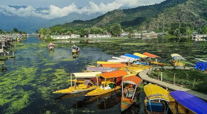 The Silencing of Kashmiri Cultural Identity: Language, Music and Memory Under Occupation