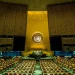 The Case India Brought: From Security Council Referral to the Plebiscite Pledge